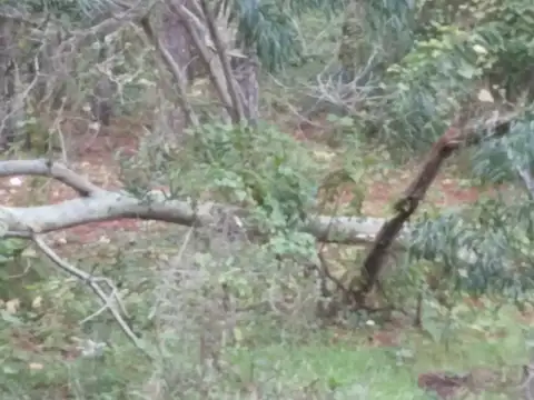 Terreno en Venta de 450,0 m2