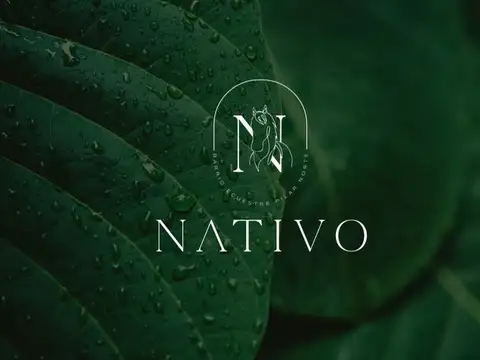 Negocio especial en venta en Pilar