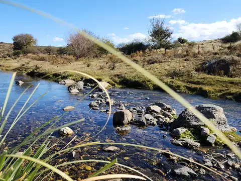 Campo en Venta de 6  ha