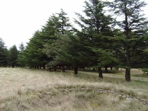 Terreno en Venta de 5490,0 m2