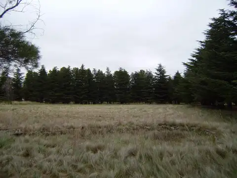 Ruta Provincial 76 Km22