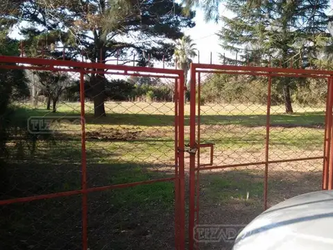 Fraccion Calcagno 800