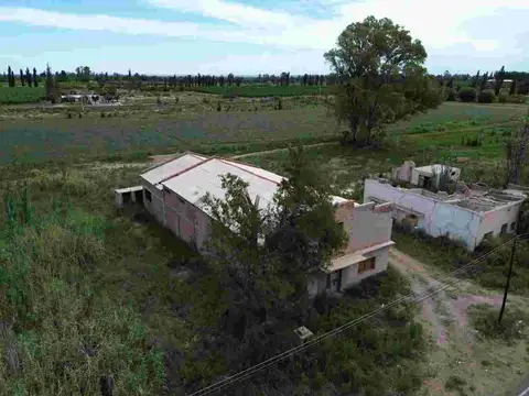 VENTA 4 ha SOBR RUTA 50  LAS CATITAS- MENDOZA