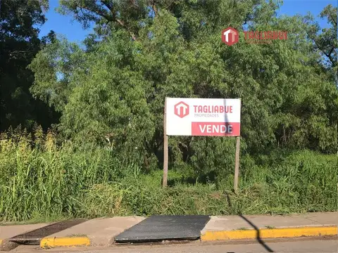 Terreno  Av. Norte 19