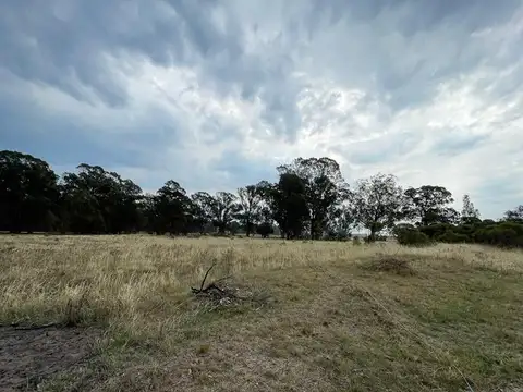 terrenos sobre calle 173 y 62 de 10 x 50, 2 lotes
