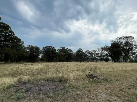 Terreno en Venta en Necochea, USD 12.000