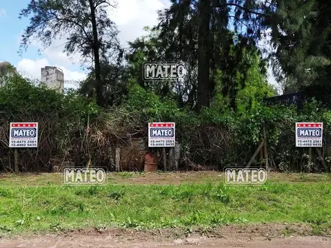 Lote Ideal Diferentes Destinos.