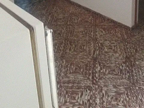 Casa en Alquiler 40 años