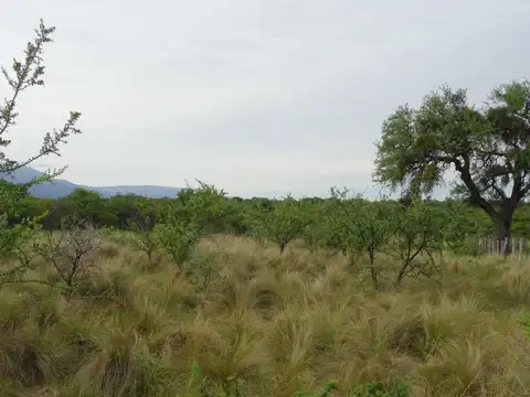 Terreno en Venta de 1500,0 m2