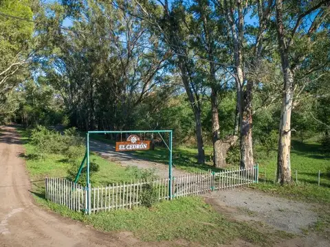 Terreno en Venta de 700,0 m2