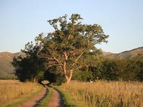 Terreno en Venta en Villa del Parque, USD 11.500