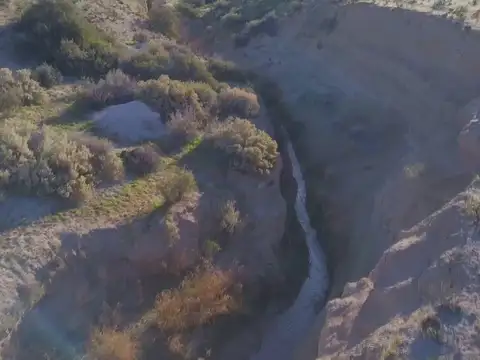 Campo en Venta Ganadero