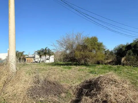 Calle las Cardenillas