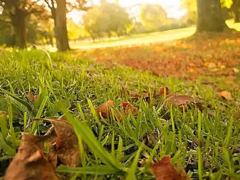 OPORTUNIDAD venta de lote en Las Brisas