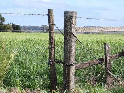 Ruta Gral. José Artigas km. 400