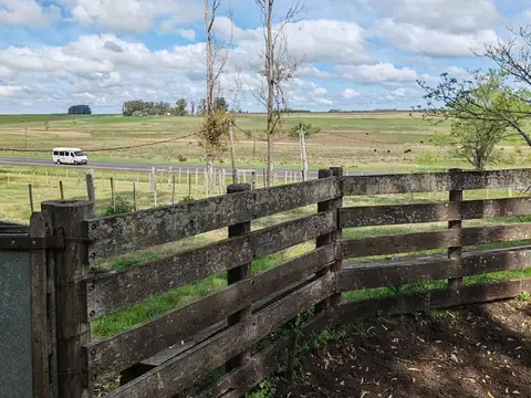 Ruta Gral. José Artigas km. 400