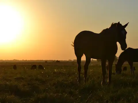 Terreno en Venta de 1358,0 m2
