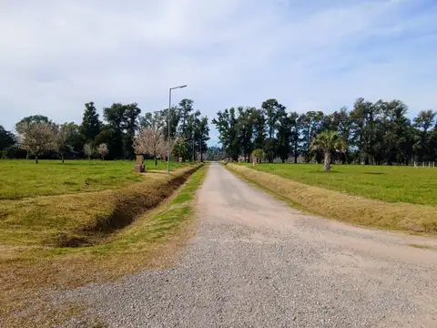 Av. Lorenzo Casey 2000, Luján , Piso Av.