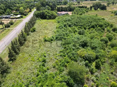 637 entre 13 y 16 , Piso 0