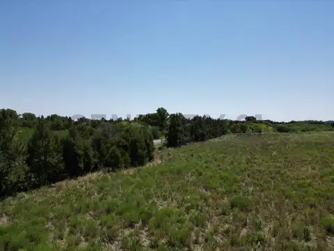 637 e/ 13 y 16 Arana, 12 hectáreas con 505 mts sobre Avenida