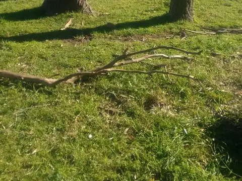 Campo venta -3 Hectáreas- Alegre