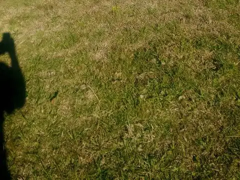 Ruta Provincial 29, KM 28,5