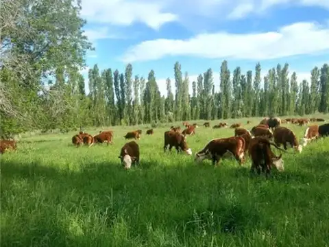 PROPIEDADES RURALES - CHACRA - GENERAL CONESA