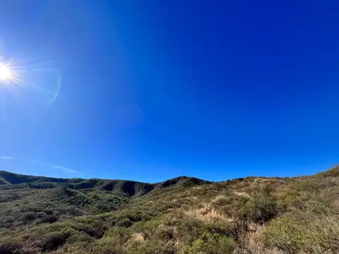 Campo en Venta de 1  ha