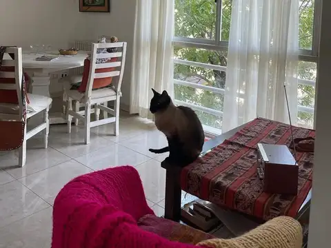 Pilar Tower Calle Lorenzo Lopez 300