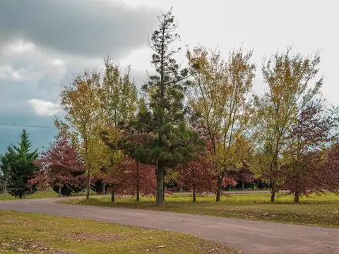 La Rinconada -  Venta Terrenos 1000 m2 en Ibarlucea