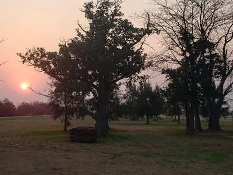 Terreno en Venta en Ibarlucea, USD 100.000