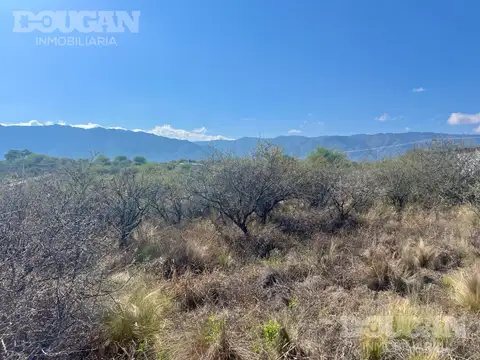 Terreno en Venta 40  mts Fondo