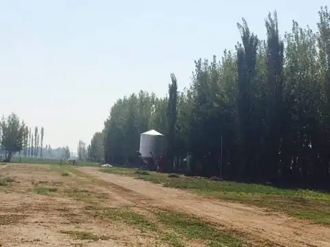 Casa en Venta en San Rafael, USD 1