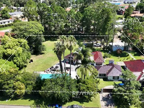 William Shakespeare 100