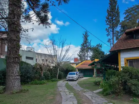 Remedios De Escalada De San Martín 1342