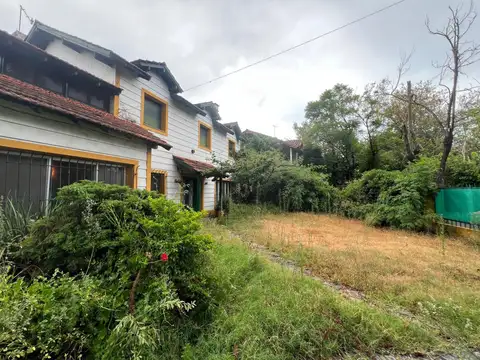 Remedios De Escalada De San Martín 1342