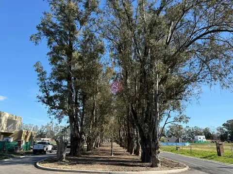 Terreno en Venta de 533,0 m2