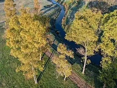 Terreno en Venta de 622,0 m2