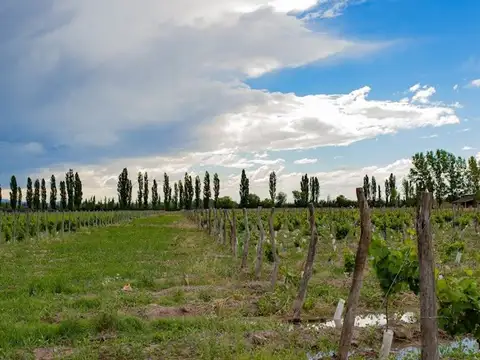 Terreno en Venta de 80,0 m2