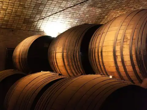 Terreno en Venta de 80,0 m2