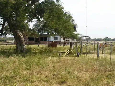 Campo en venta - 230Mts2 - Formosa