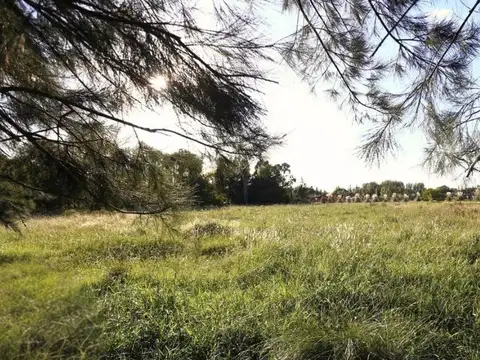 Terreno en Venta de 5000,0 m2