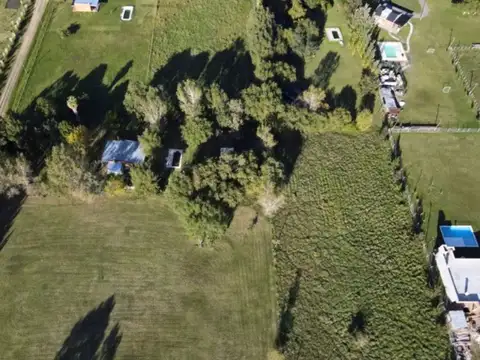 Florencio Sanchez e Payro y Guibaldes