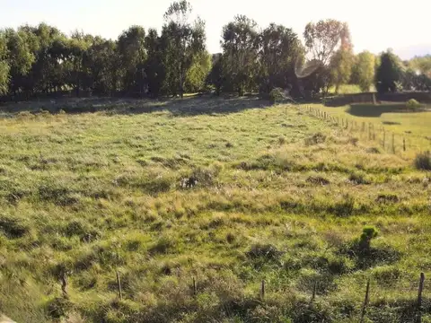 Terreno en Venta en Guernica, USD 40.000