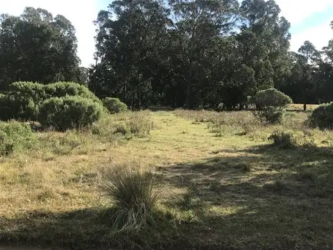 Terreno en Venta de 300,0 m2