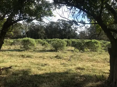 Terreno de 300m2 sobre Av. 58 entre 167 y 169