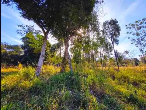 Venta, Terreno, sobre Ruta 015, Villa Zorraquin, Concordia, Entre Ríos