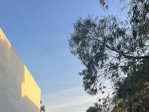 PACIFICO RODRIGUEZ 6200