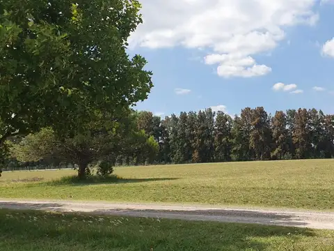 Terreno en Venta en Carlos Keen, USD 62.000