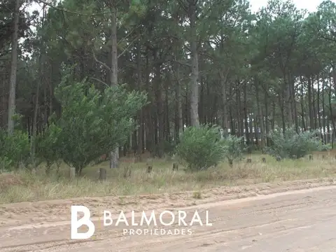 Lote en Venta - Zona Pinamar Norte / REF: 1523